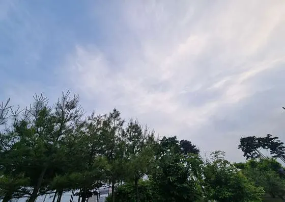 옥정체육공원