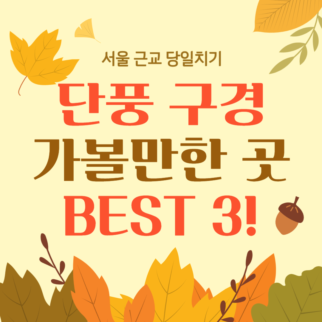 당일치기-서울-근교-단풍-구경-가볼만한곳-BEST3