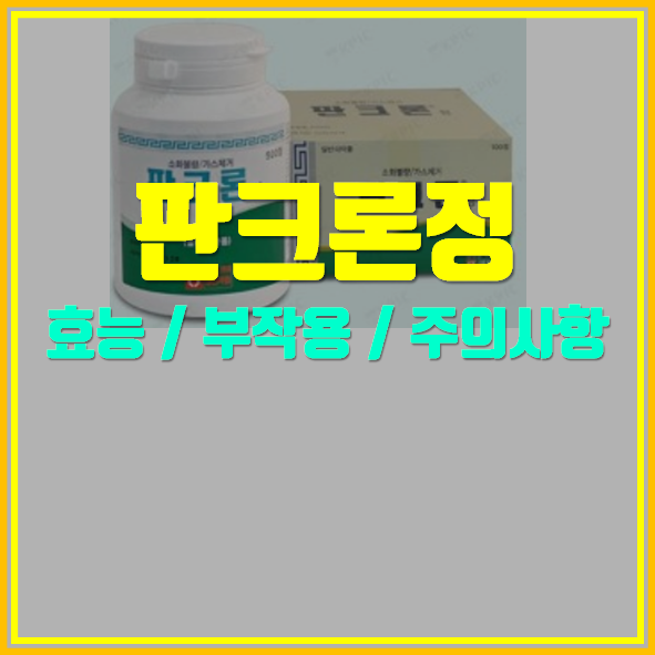  판크론정 의약품 정보