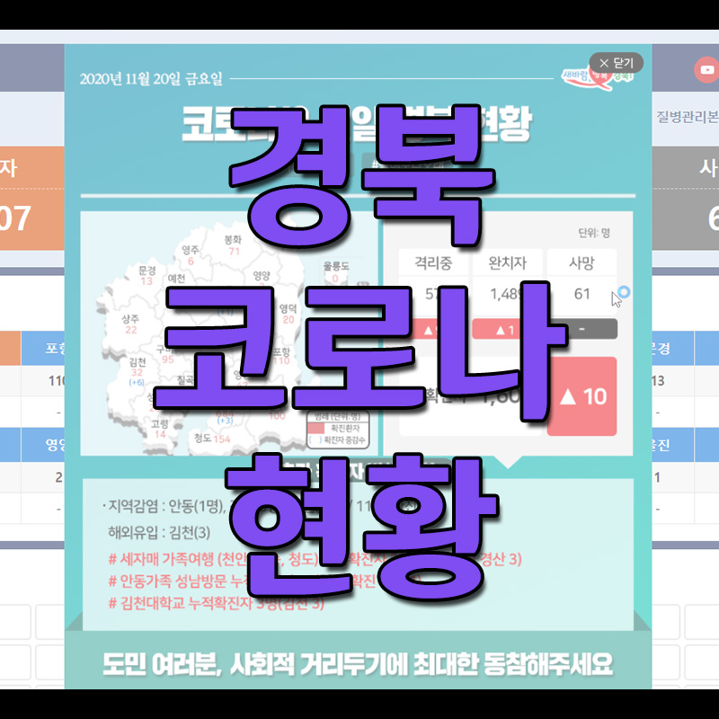  경북 코로나 확진자 현황