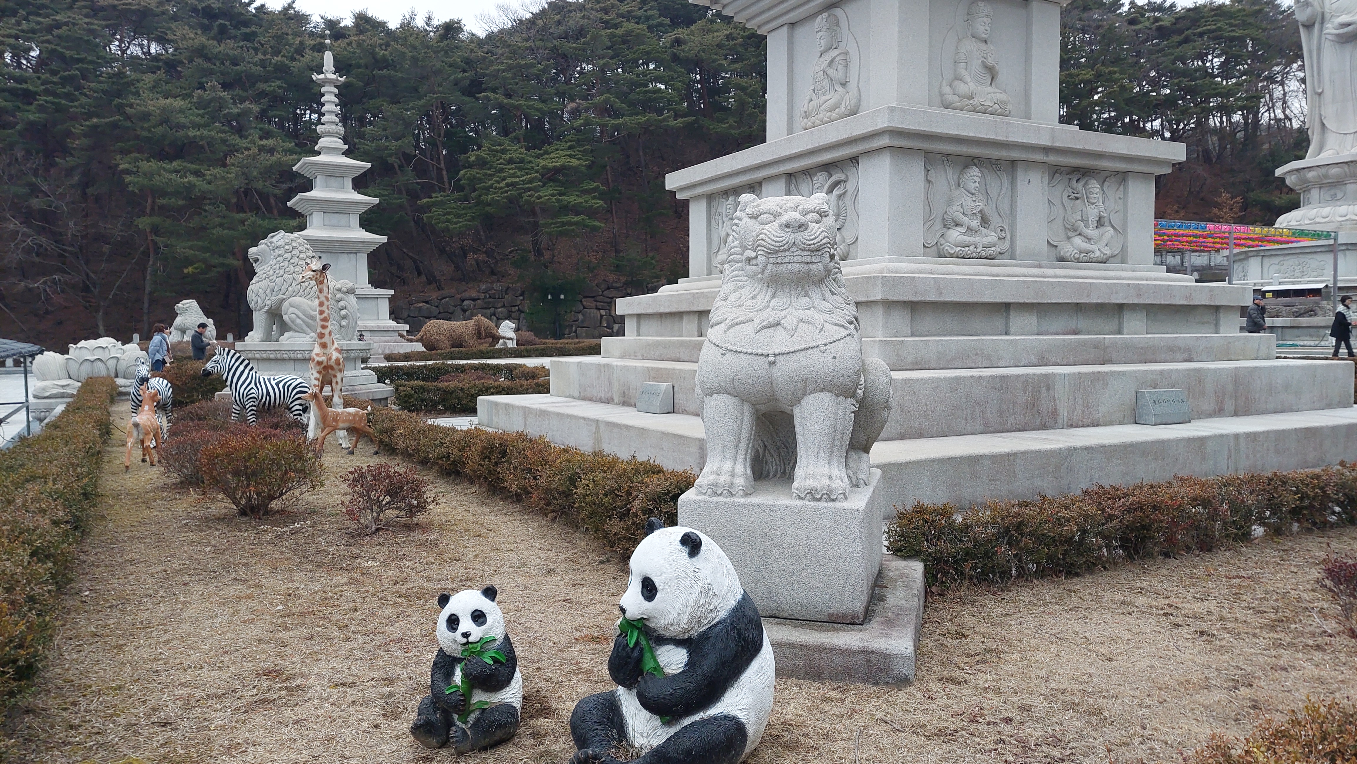 팔공산 동화사 160