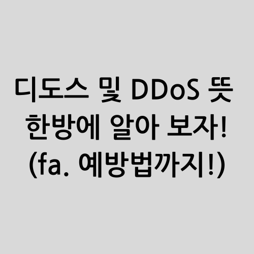 디도스 및 DDoS 뜻
