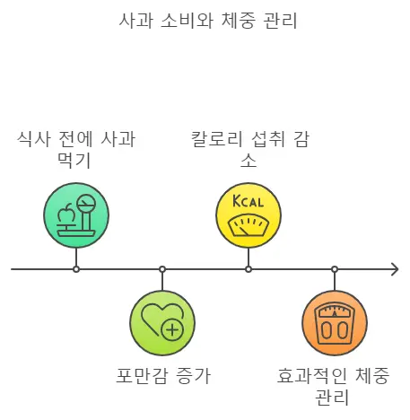 사과의 체중관리 효능