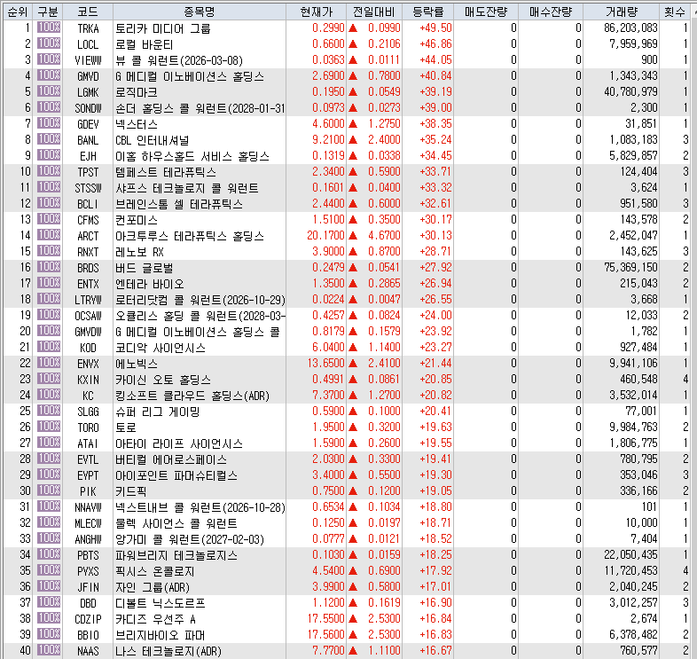  3월29일 미국주식 상승률 상위 종목 TOP 300