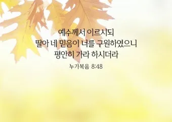 매일 성경 묵상 누가복음 8장 씨뿌리는 자_22