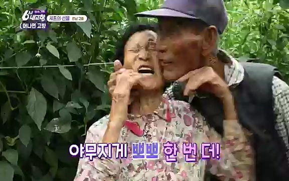 [7614회] 6시 내고향 - KBS7614회] 6시 내고향.ts_20220915_210047.980.jpg