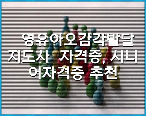영유아 감각발달지도사 자격증, 시니어 자격증 추천 1