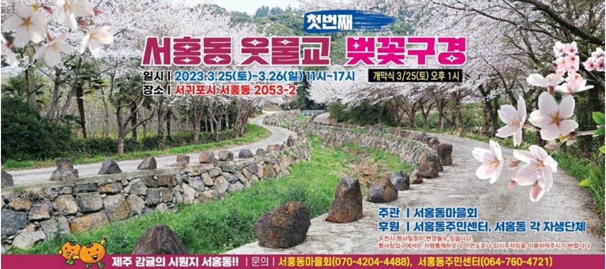  알려지지 않은 숨은 봄꽃 축제 장소 BEST 5 먹거리부터 숙소까지