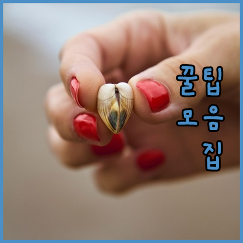 LG 그램 14 코어 울트라 5 한 