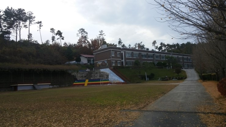 판교중학교 이미지