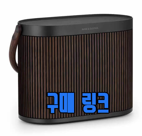 뱅앤올룹슨 베오사운드(Beosound A5) 다른 디자인 사진