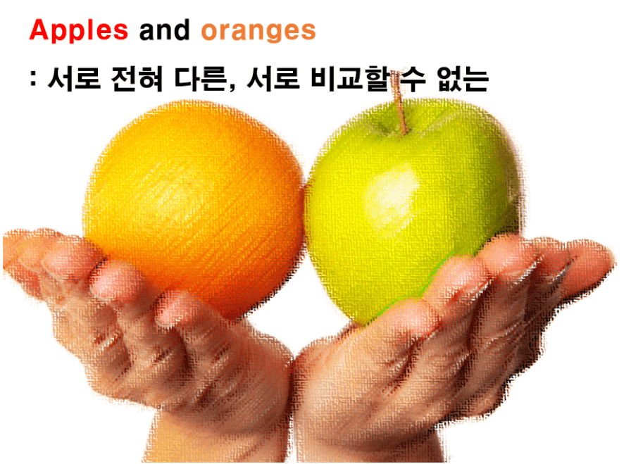 Apples and oranges 표현을 설명하는 사진 (썸네일용)