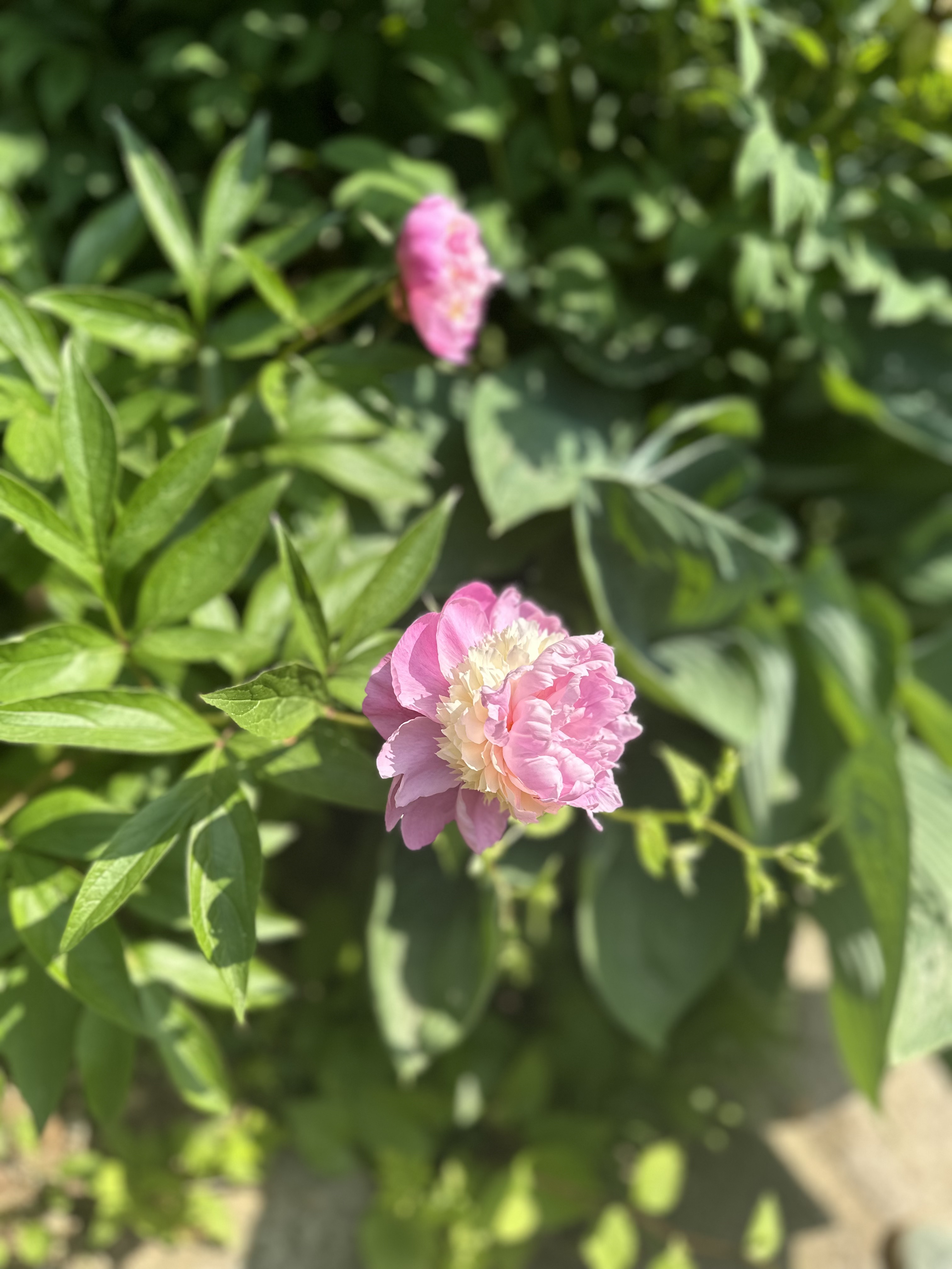 민예사랑 이미지