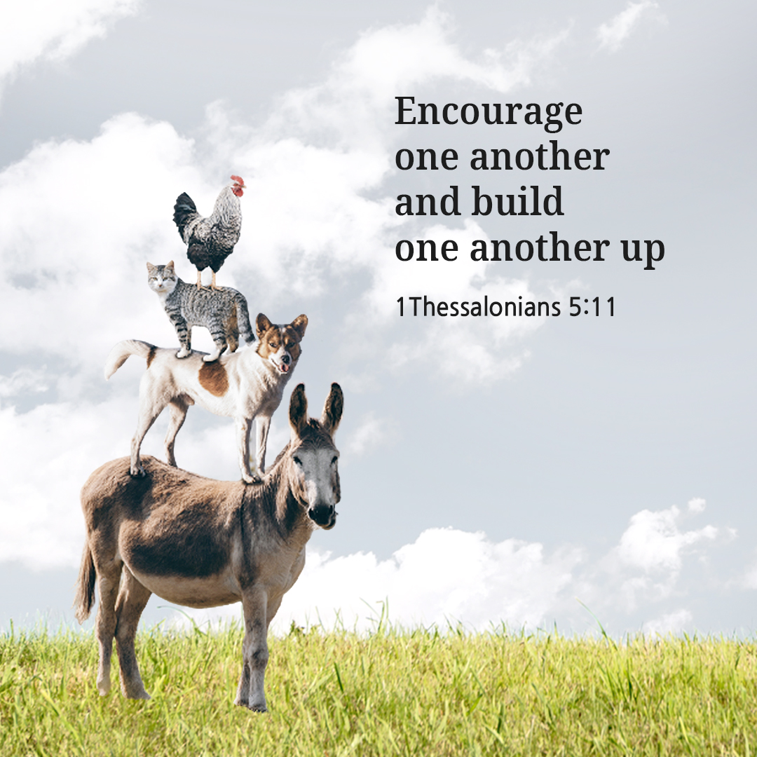 Encourage one another and build one another up. (1Thessalonians 5:11)