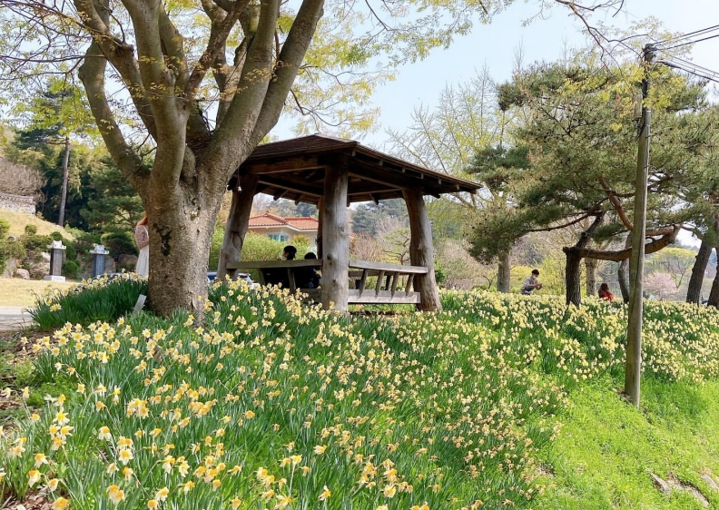 봄꽃 축제