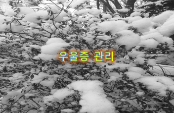  우울증과 감정 변화의 특징