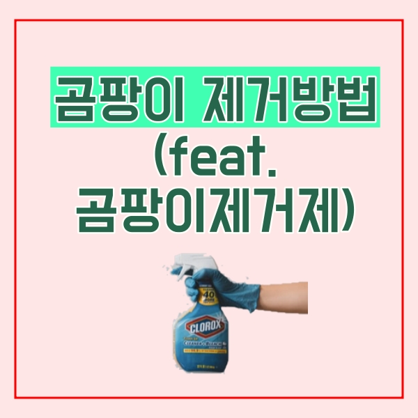  곰팡이 제거제로 제거방법