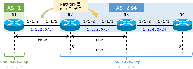 BGP-Next-Hop-Network