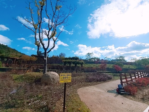 #부산 아이와가 볼만한 바다 운대수목원 12