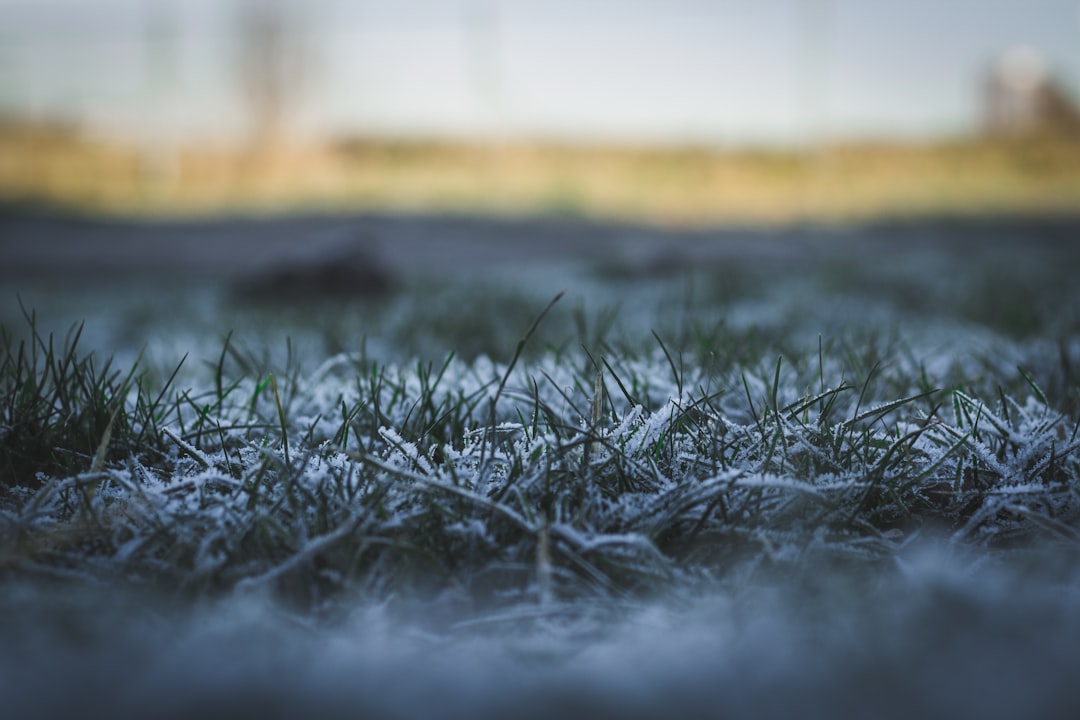 cold