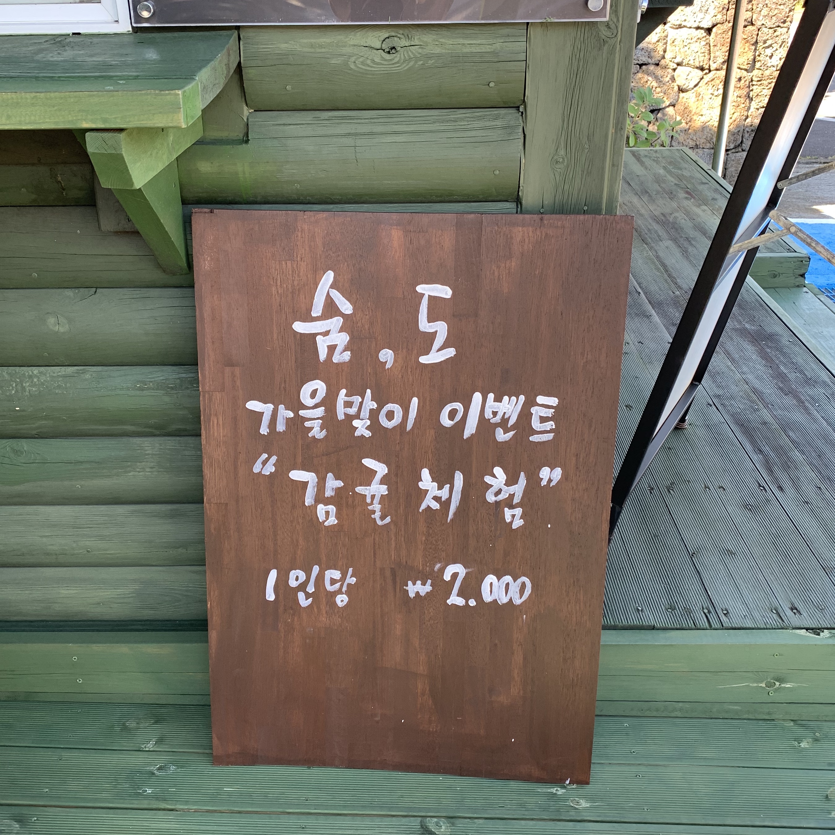 제주도 귤따기