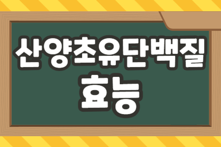 산양초유단백질 효능