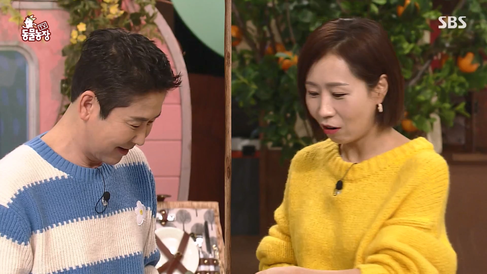 TV 동물농장.E1161.240303p-NEXT.mp4_20240303_172243.818.jpg