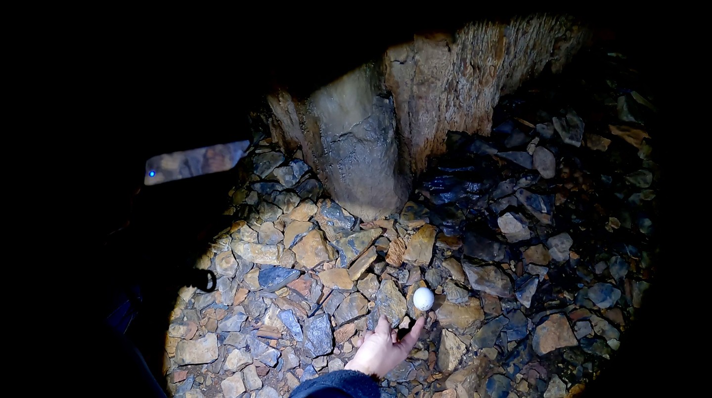 동굴속 의문에 새알