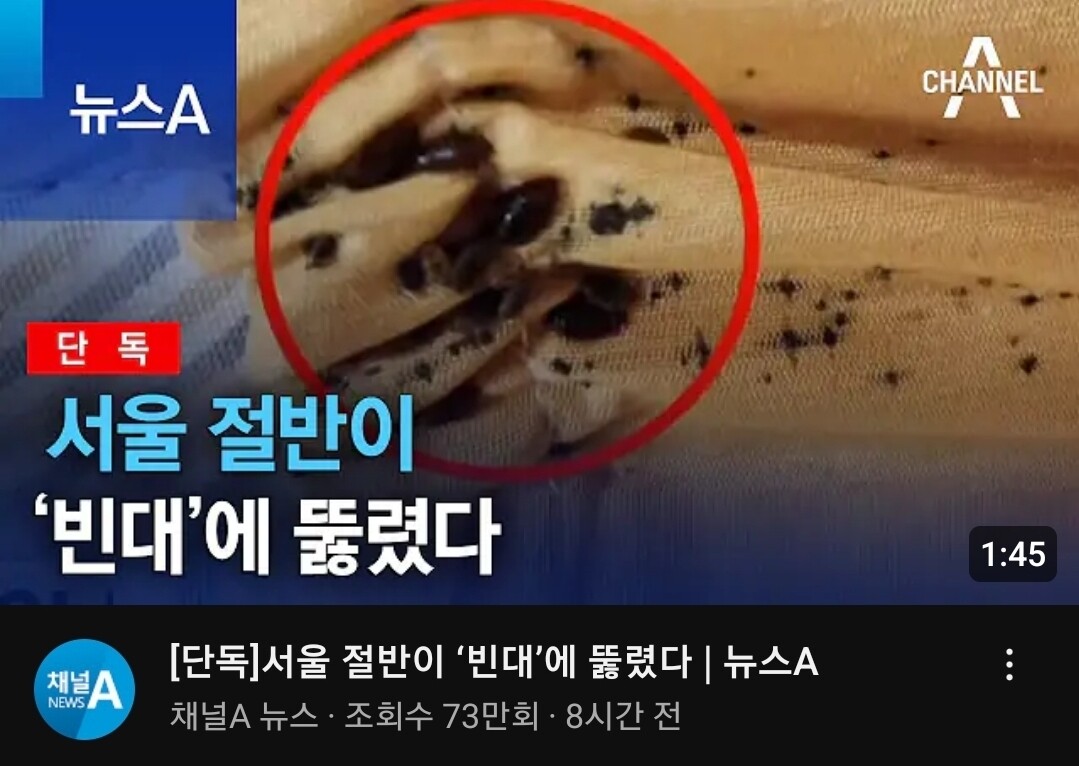 빈대주의보&amp;#44; 물림 자국&amp;#44; 예방 퇴치법 알아보기