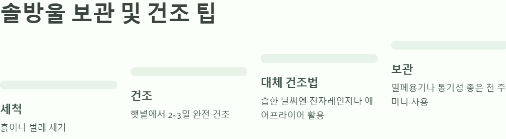 솔방울 보관 및 건조 팁 예시