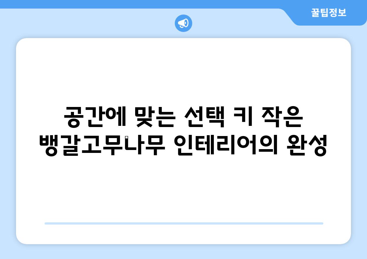 공간에 맞는 선택 키 작은 뱅갈고무나무 인테리어의 완성