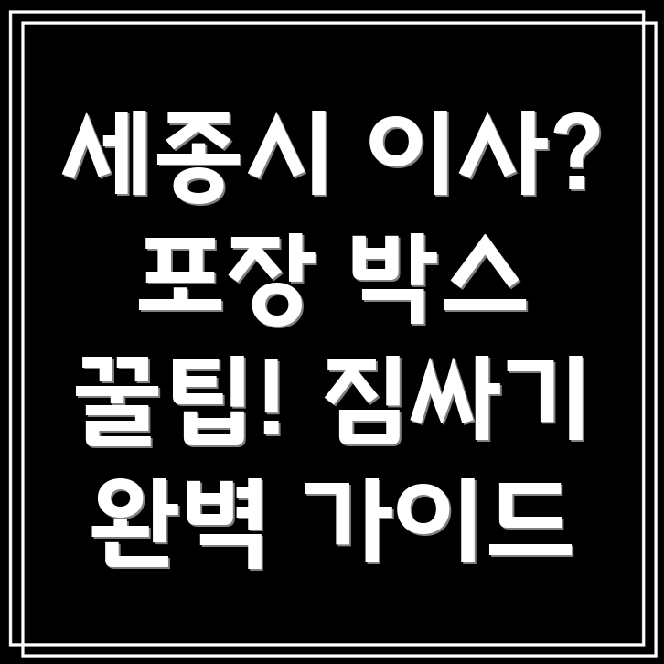 세종시 이사 포장 박스