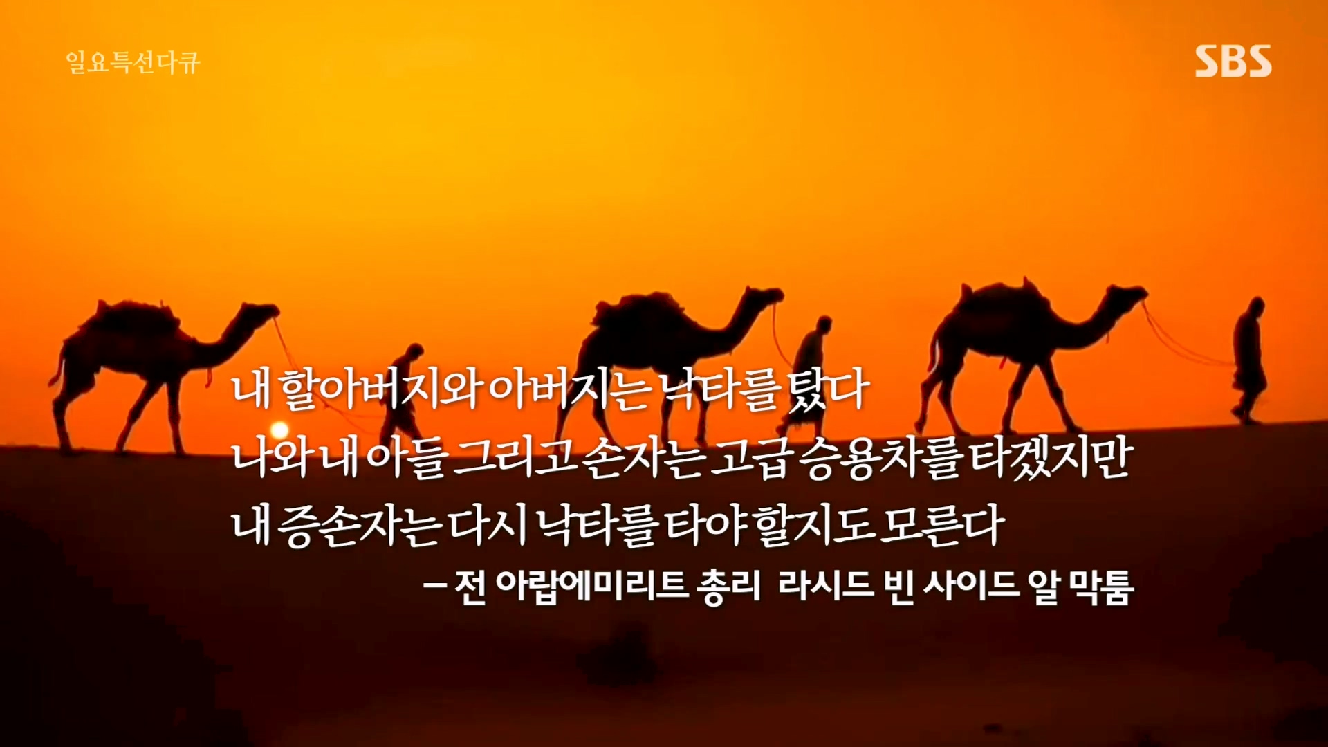 일요특선 다큐멘터리.E337.240121p-NEXT.mp4_20240124_201219.818.jpg