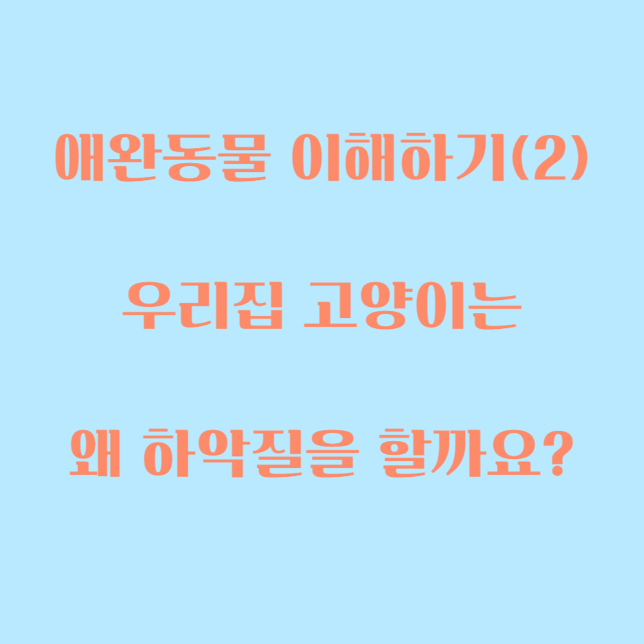 우리집 고양이는 왜이럴까?? 고양이를 이해하는 방법