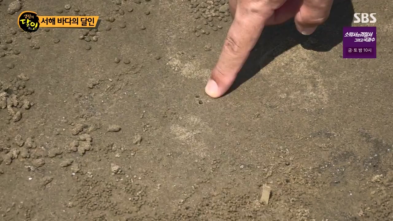 생활의 달인.E900.230808p-NEXT.mp4_20230808_204303.725.jpg