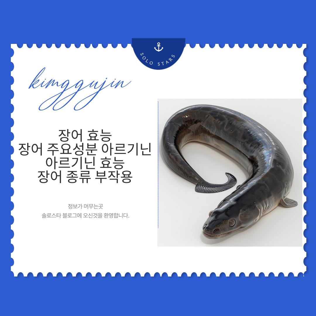 장어 사진
