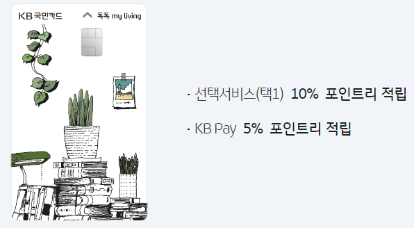  kb 포인트 리 적립 톡톡 my living 카드