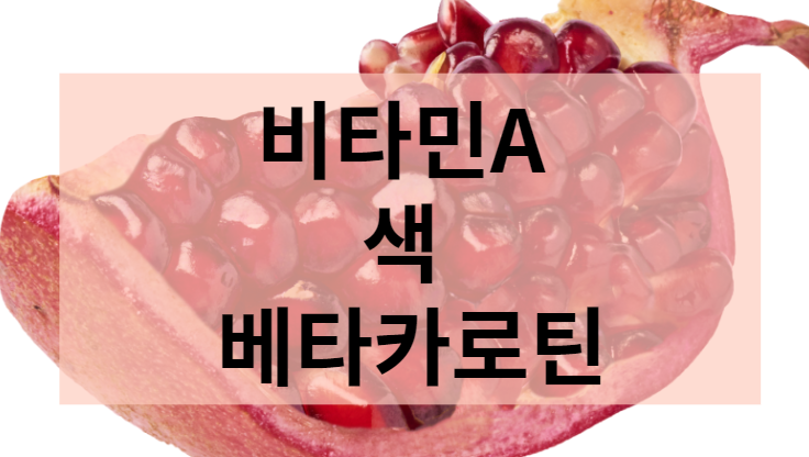 비타민A 색 베타카로틴