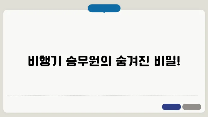 비행기 승무원의 역할