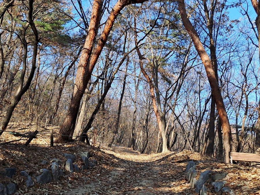 불암산으로-가는길
