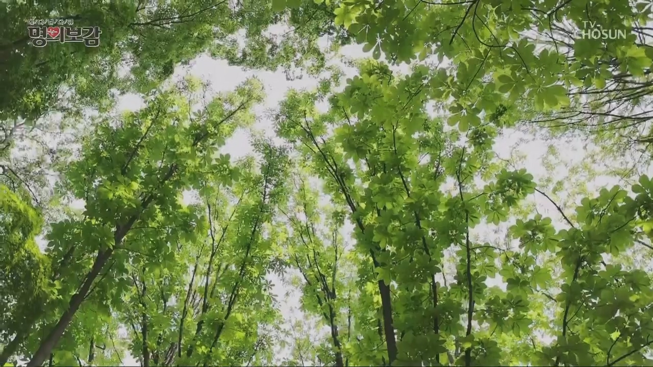 메디컬다큐 명의보감.E03.230527p.H264-F1RST.mp4_20230529_173116.315.jpg