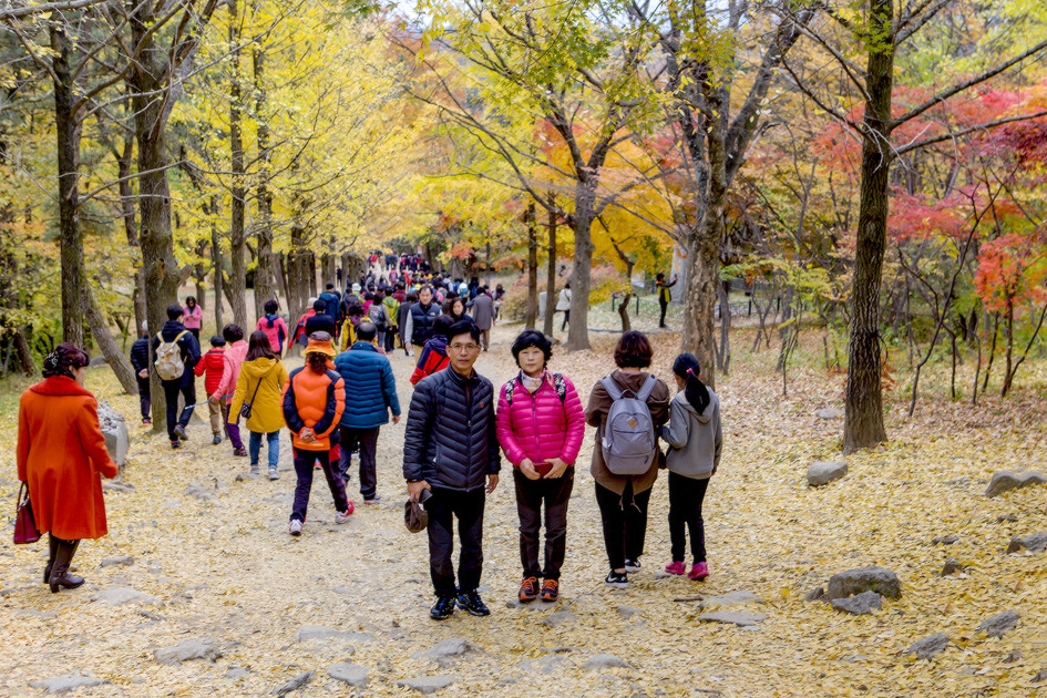 팔령 팔우회 2016 가을나들이 2 (2016-11-09) 73