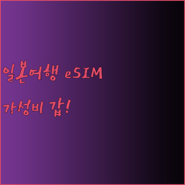 일본 여행 필수템 eSIM 추천 3G