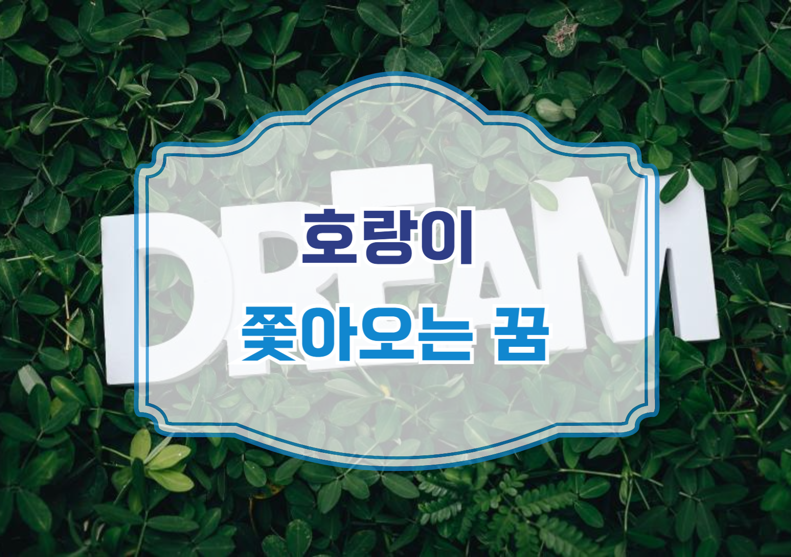쫓아오는 꿈