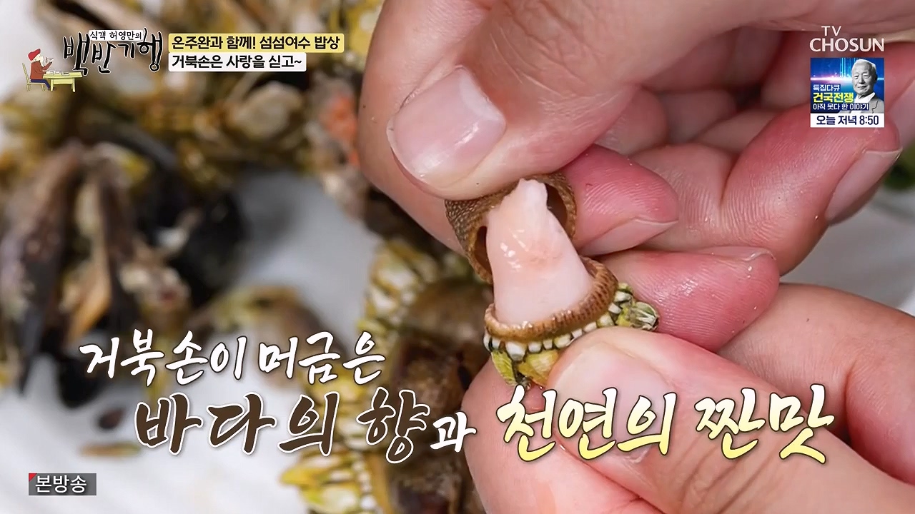 식객 허영만의 백반기행.E253.240624p-NEXT.mp4_20240624_195631.579.jpg