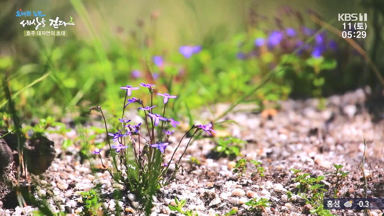 트레킹노트 세상을 걷다.E296.231112p-NEXT.mp4_20231111_182052.037.jpg