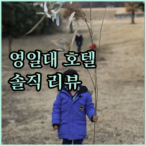 영일대 해수욕장 근처 호텔 추천! 라