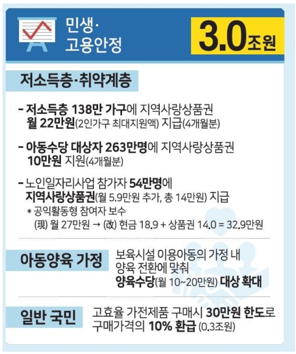  아동수당 추가 지급, 정부의 소비쿠폰 추가 지원내용