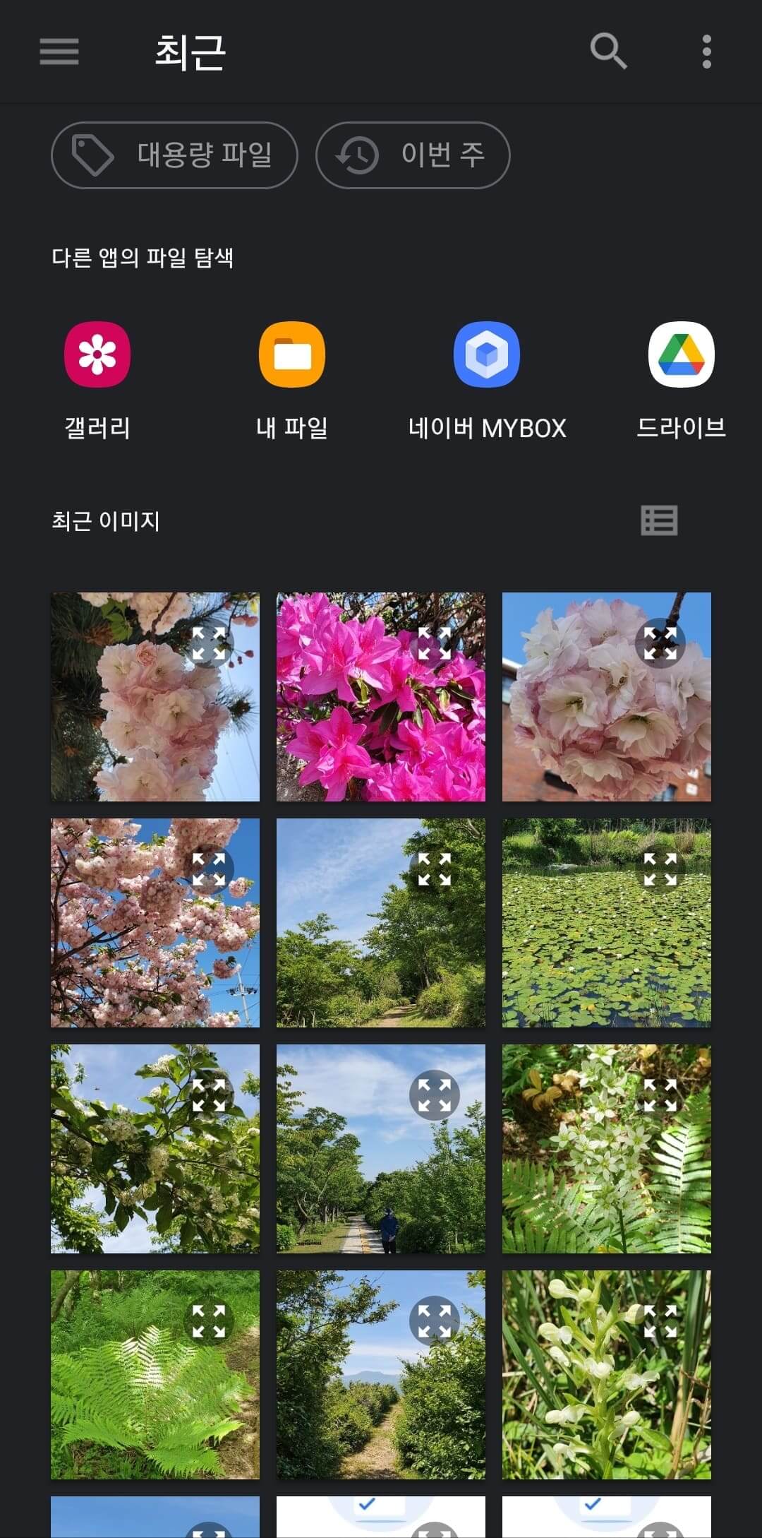 스냅시드열기