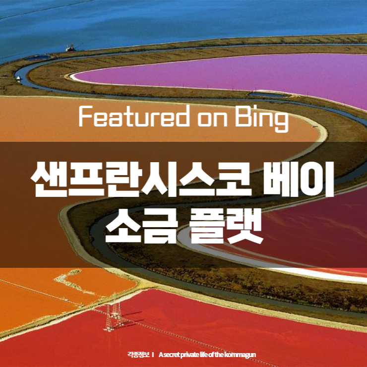  Featured on Bing  - 샌프란시스코 베이 소금 플랫 San Francisco Bay salt flat